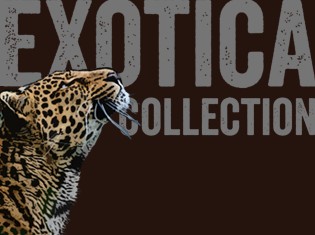 Ro London Exotica Collection