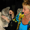 Ro London - Our iconic koala at WWF 25th Anniversary Gold Coast.